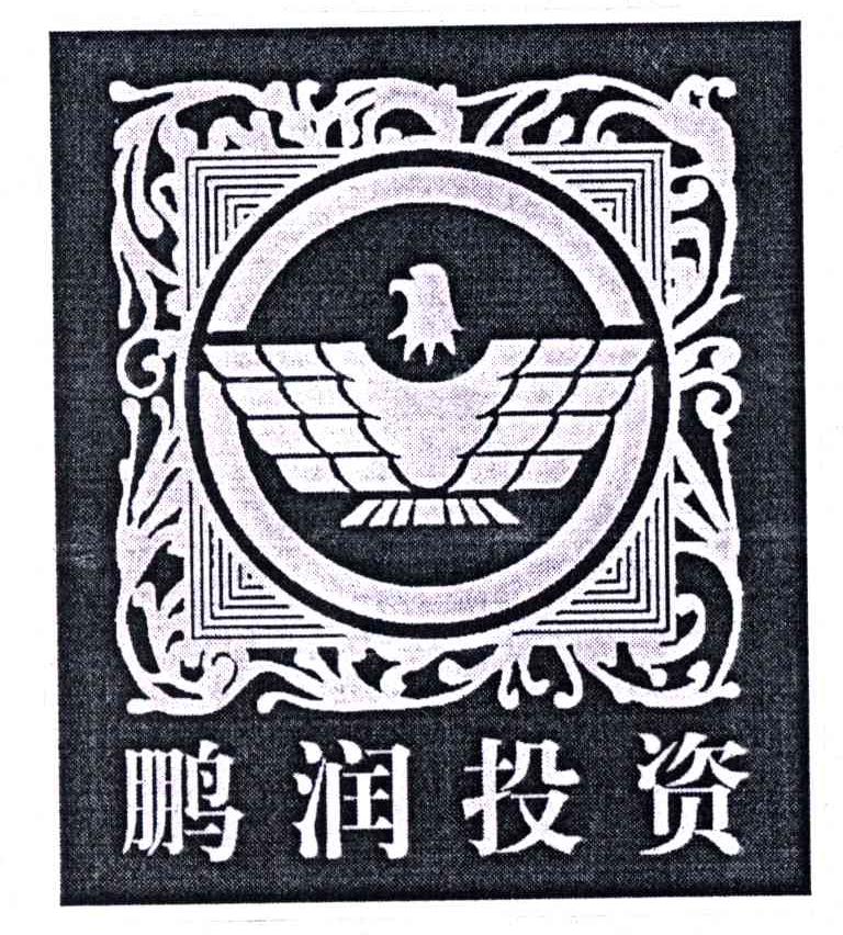 鹏润投资