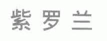 紫罗兰