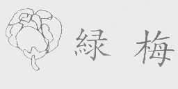 绿梅