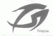 TILAPIA