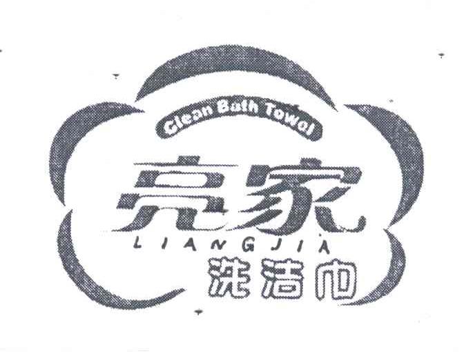 亮家洗洁巾