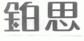 铂思