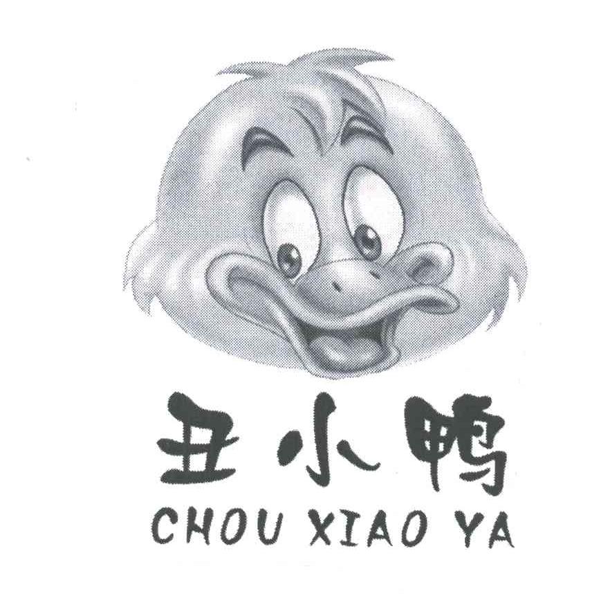 丑小鸭及图形