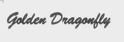 GOLDEN DRAGONFLY