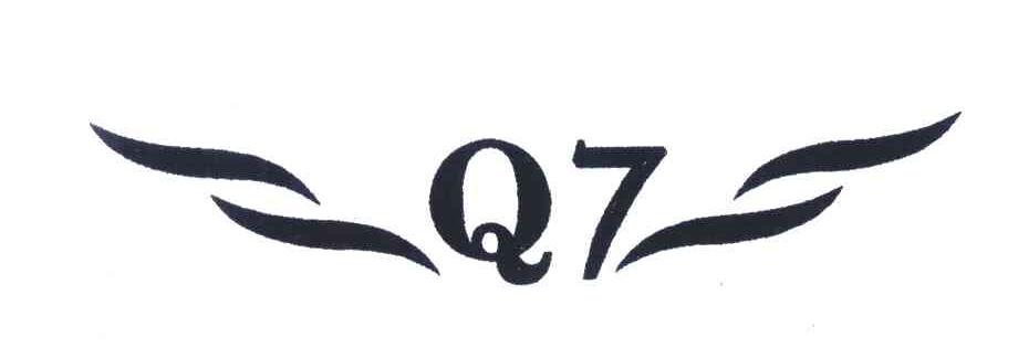 Q;7