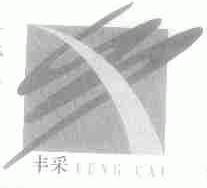 丰采