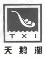 天鹅湖;TXI