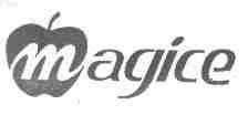 MAGICE