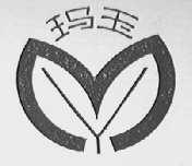 玛玉