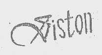VISTON