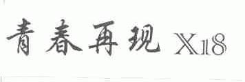 青春再现
