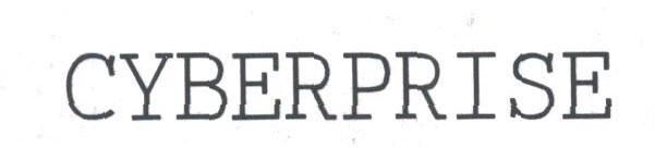 CYBERPRISE