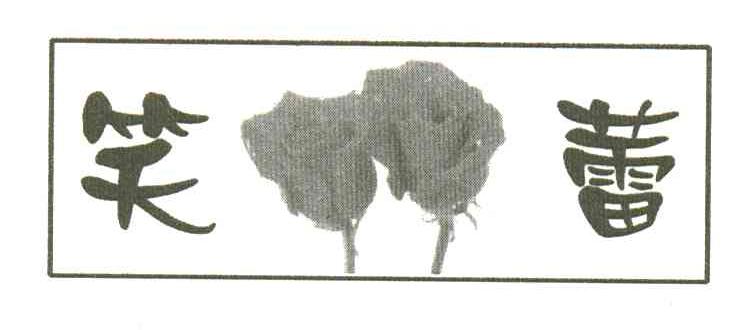 笑蕾