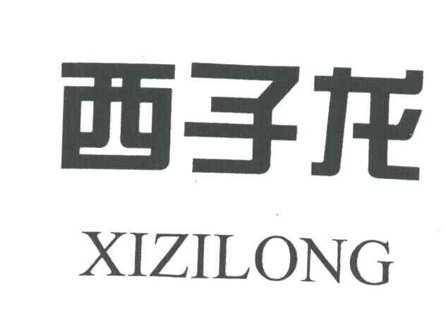 西子龙