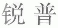 锐普