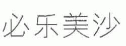 必乐美沙