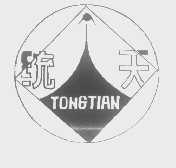 统天