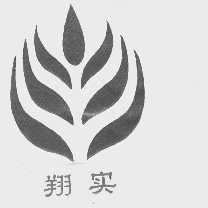 翔实