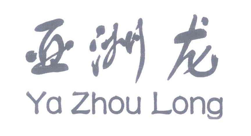 亚洲龙