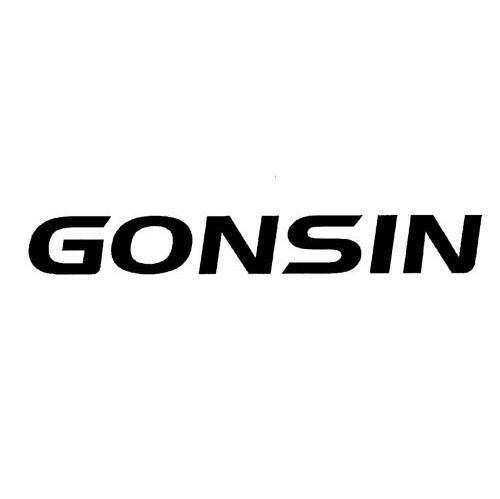 GONSIN