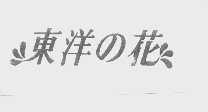 东洋之花