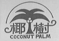 椰树 COCONUT PALM