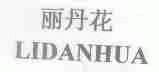 丽丹花