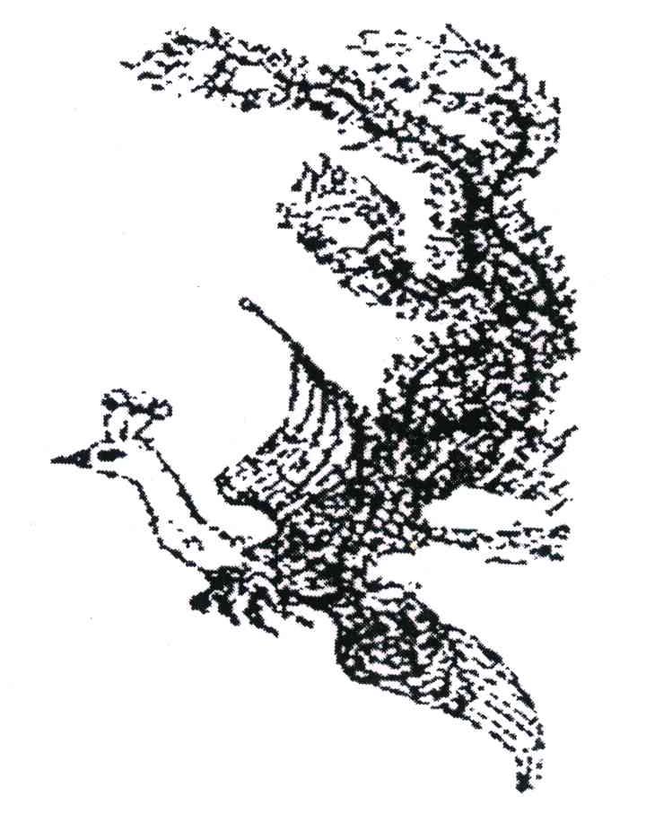 图形