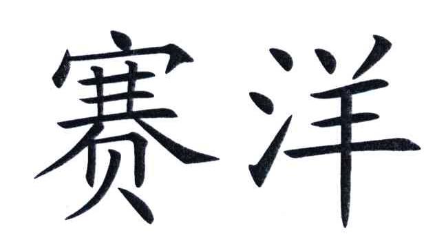 赛洋