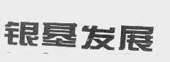 银基发展