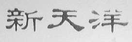新天洋