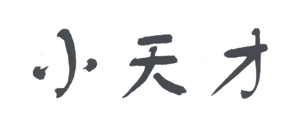 小天才