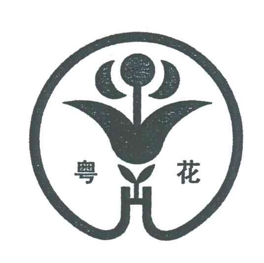 粤花