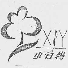 小白杨   XPY