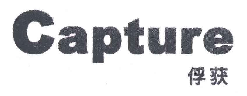 俘获;CAPTURE