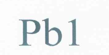PB 1