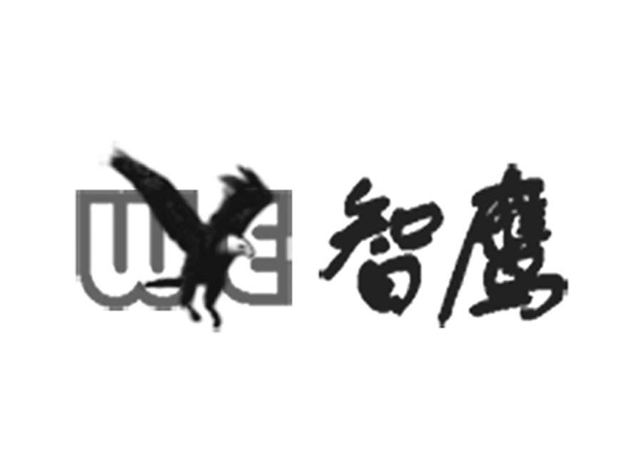 智鹰 WE