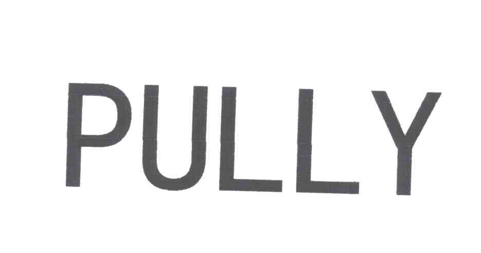 PULLY