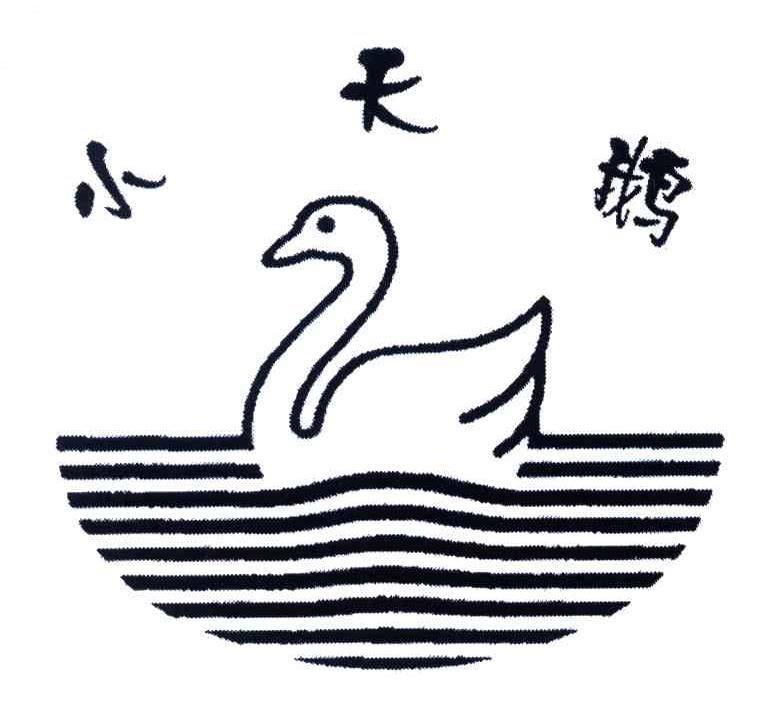 小天鹅