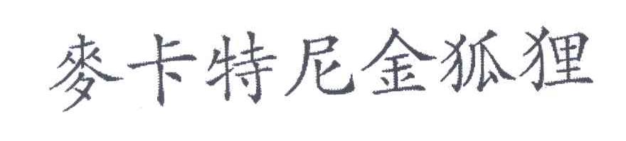 麦卡特尼金狐狸