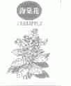 海棠花;CRABAPPLE