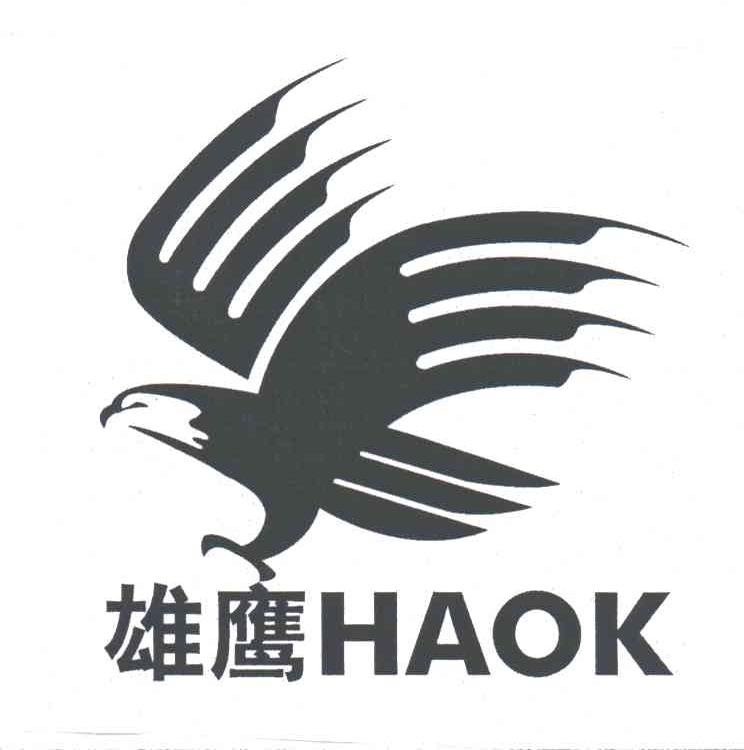 雄鹰;HAOK