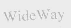WIDE WAY