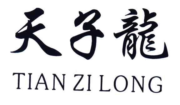 天子龙