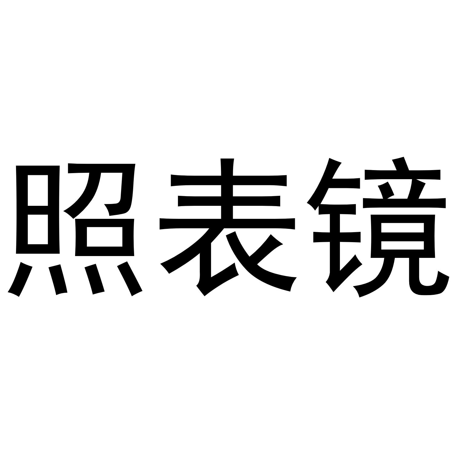 照表镜
