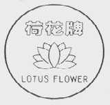荷花  LOTUS FLOWER