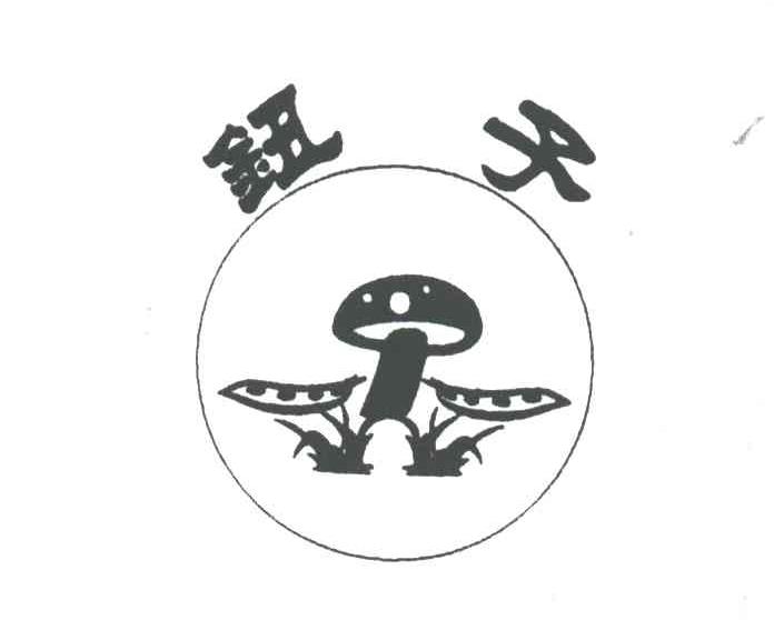 纽子