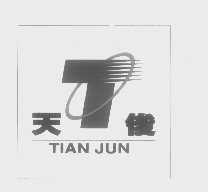 天俊