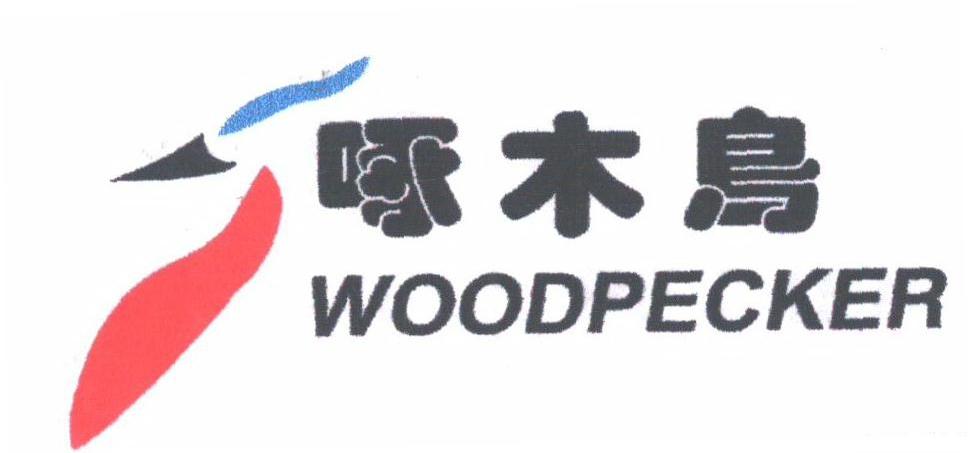 啄木鸟;WOODPECKER