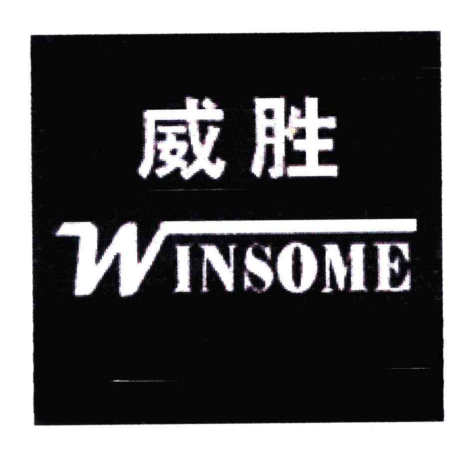 威胜;WINSOME